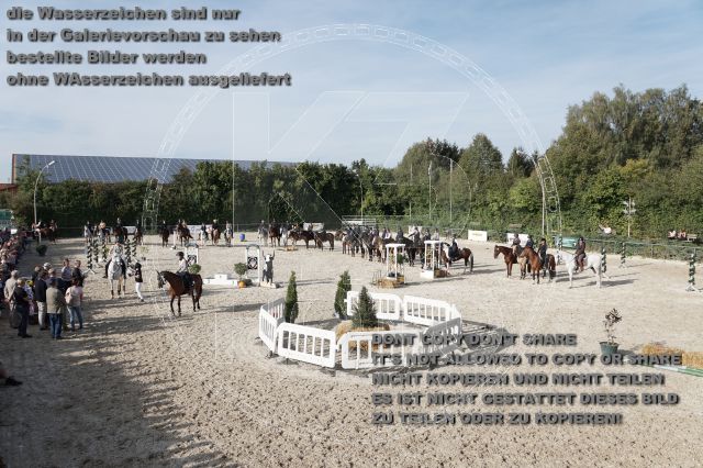 a_DSC06418.JPG